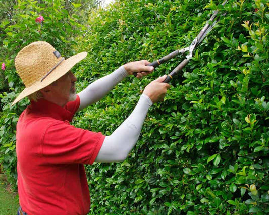 Gardener wearing IceRays UPF 50+ sun protective arm sleeves